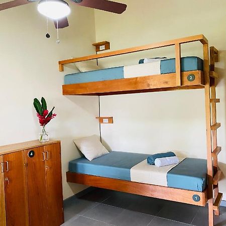 El Hostel Del Patio Tortuguero Exteriér fotografie
