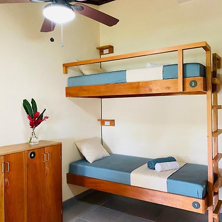El Hostel Del Patio Tortuguero Exteriér fotografie