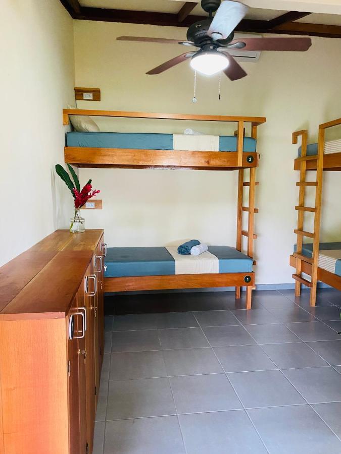 El Hostel Del Patio Tortuguero Exteriér fotografie