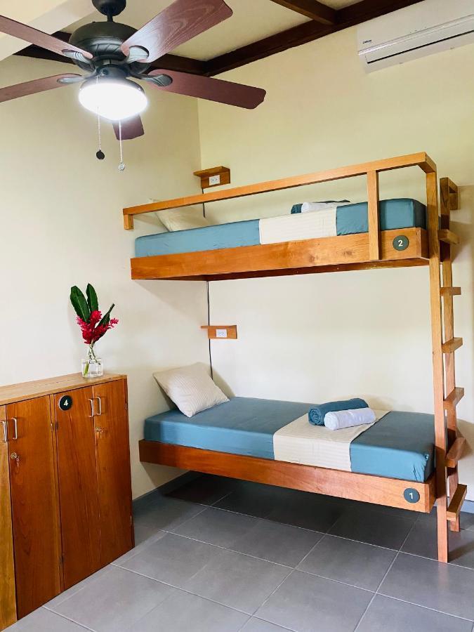 El Hostel Del Patio Tortuguero Exteriér fotografie