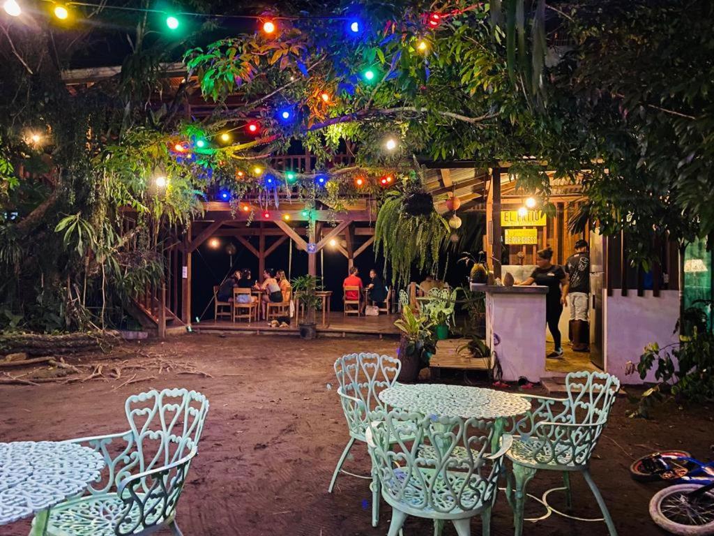 El Hostel Del Patio Tortuguero Exteriér fotografie