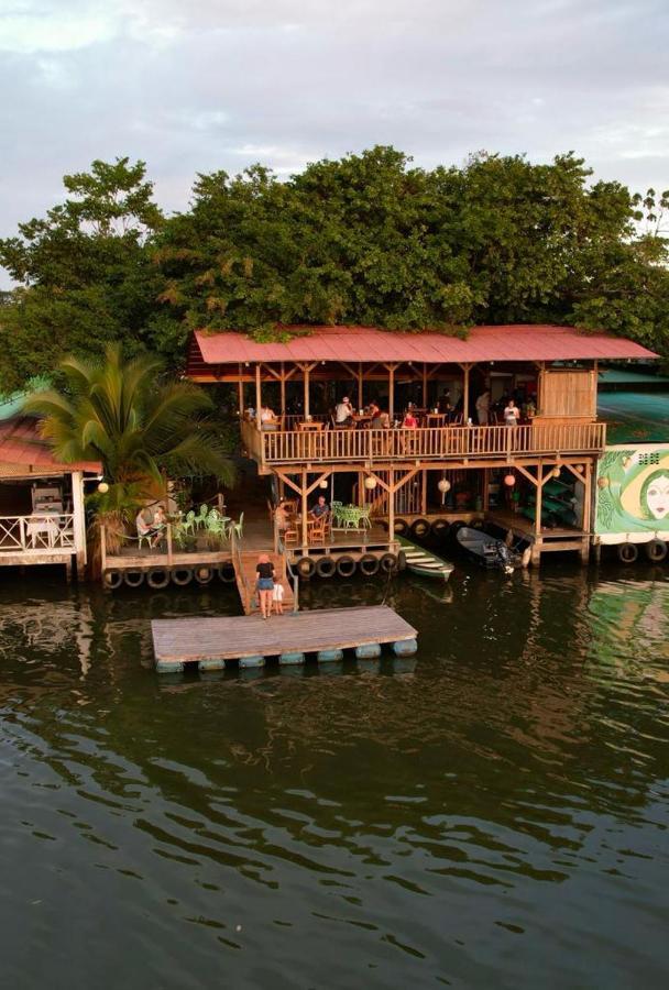 El Hostel Del Patio Tortuguero Exteriér fotografie