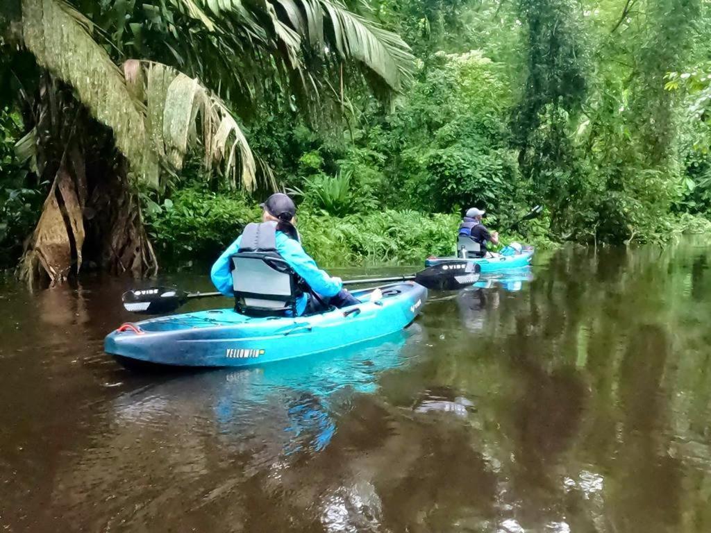 El Hostel Del Patio Tortuguero Exteriér fotografie