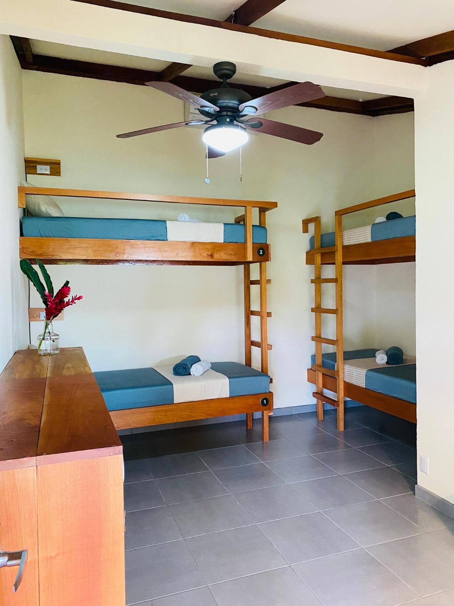 El Hostel Del Patio Tortuguero Exteriér fotografie