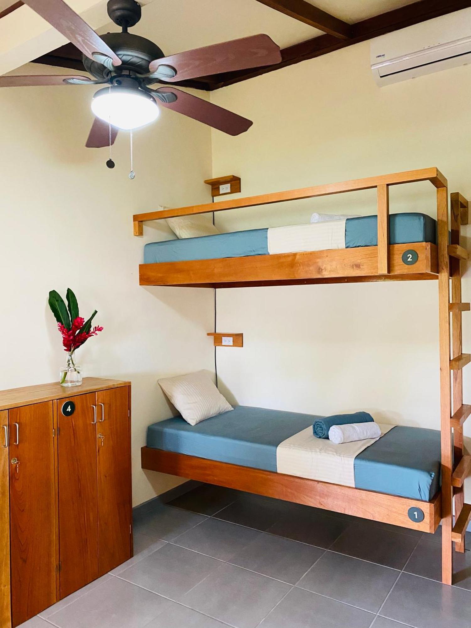 El Hostel Del Patio Tortuguero Exteriér fotografie